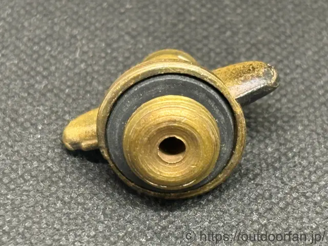 250905P1000